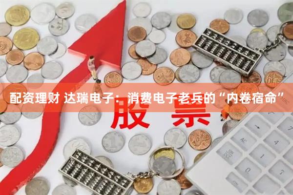 配资理财 达瑞电子：消费电子老兵的“内卷宿命”